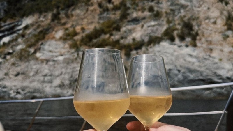 Two hands holding wine glasses on a boat with mountains in the background.
