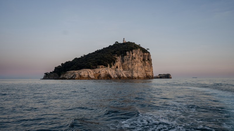 Island with lighthouse and trees, surrounded by calm sea and a pastel sky.