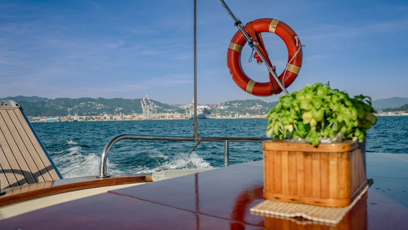 View from boat with life ring, potted plant, and distant cityscape over water under clear sky.